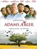 Adams æbler