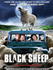 Black Sheep